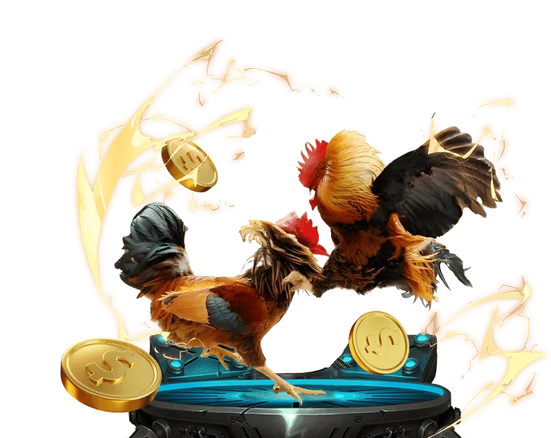 Hỗ trợ khách hàng chuyên nghiệp từ qq188